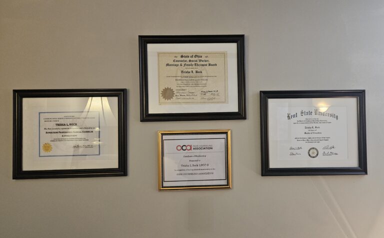 Trisha L Beck LPCC-S Canton Ohio Stark County 44709